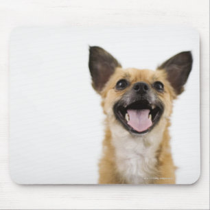 Panting dog mouse pad