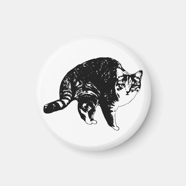 Pantry Glow Tabby Magnet (Front)