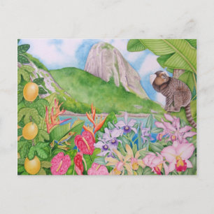 Pão de Açúcar Postcard