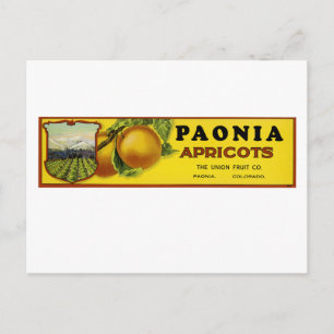 Paonia Apricots Label Art Postcard