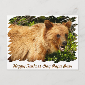 Papa Bear Postcard