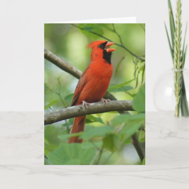 Papa Singing! Card (Front)