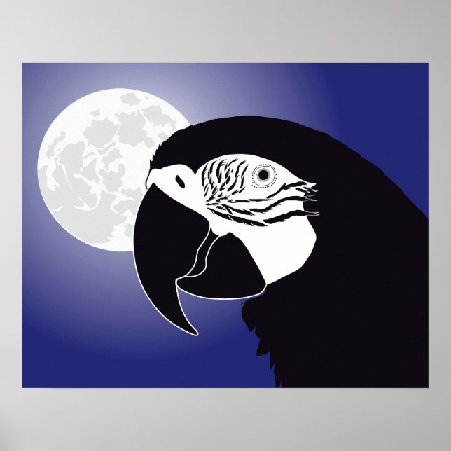 Papagei Ara Poster (Front)