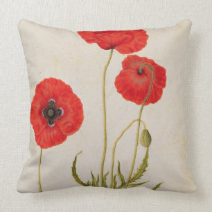 Papavar rhoeas, c.1568 cushion