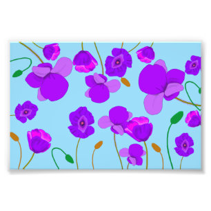 Papaver Poppy Lilac on pale-blue background Photo Print