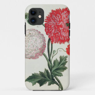 Papaver somniferum and Papaver rheas engraved by G iPhone 11 Case