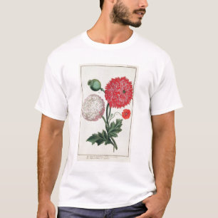 Papaver somniferum and Papaver rheas engraved by G T-Shirt