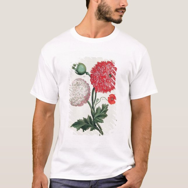 Papaver somniferum and Papaver rheas engraved by G T-Shirt (Front)