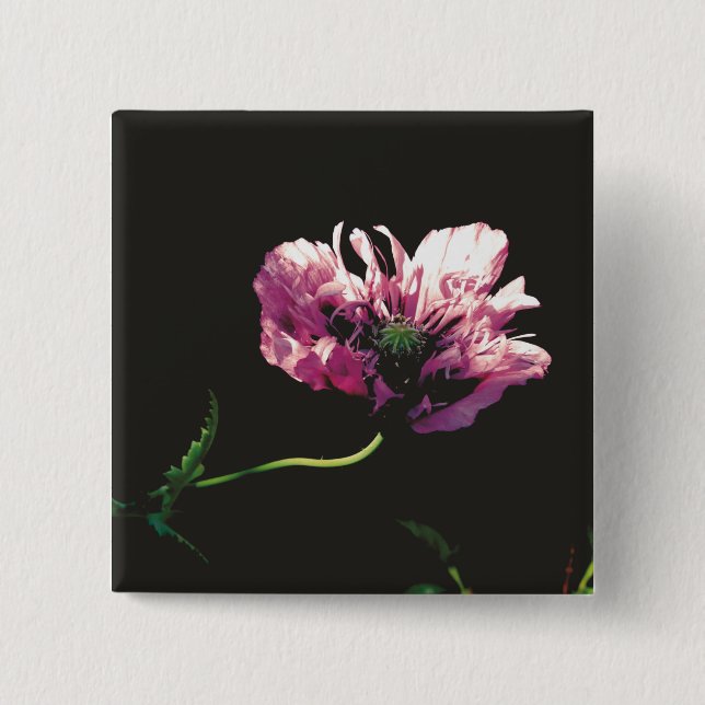 Papaver Sugarplum  15 Cm Square Badge (Front)