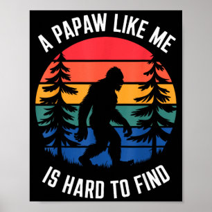 Papaw Design For Grandpa From Grandkids Father's D Poster