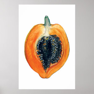 PAPAYA botanical fruit orange print