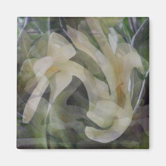 Papaya Flower in Abstract Magnet
