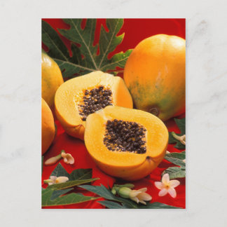 Papaya Postcard
