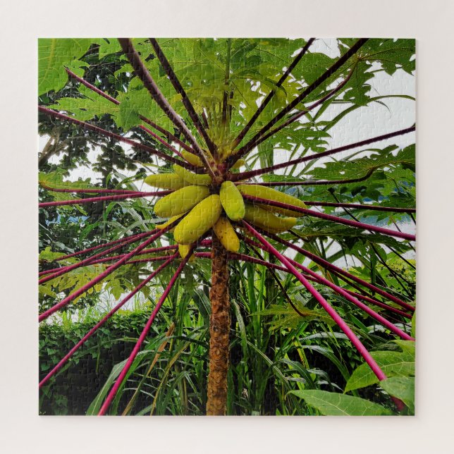Papaya Tree  Jigsaw Puzzle (Vertical)