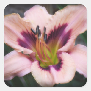 Paper Butterfly Daylily Square Sticker