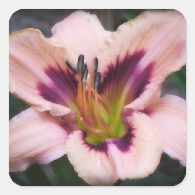Paper Butterfly Daylily Square Sticker (Front)