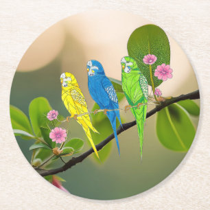 Paper Coaster Budgies