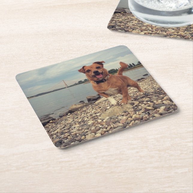 Paper Coasters with your dog photography (Angled)