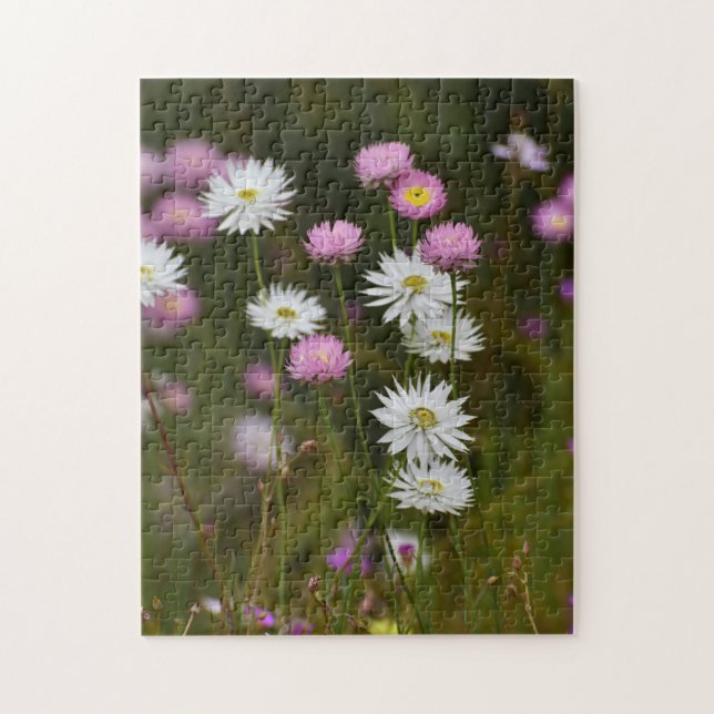 Paper Daisy Parade Puzzle (Vertical)
