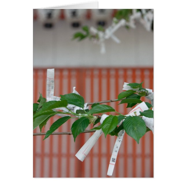 Paper fortunes card (Front)