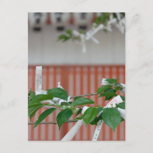 Paper fortunes postcard