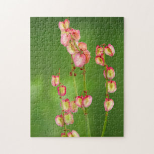 Paper Hearts (Rumex Woodii), Ukhahlamba Jigsaw Puzzle