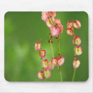 Paper Hearts (Rumex Woodii), Ukhahlamba Mouse Pad