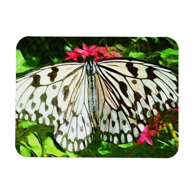 Paper Kite Butterfly Abstract Impressionism Magnet (Horizontal)