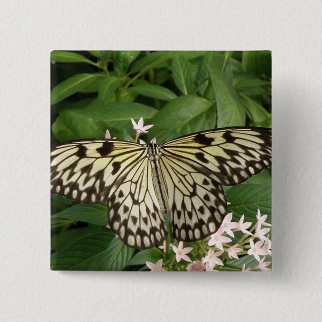 Paper Kite Butterfly Button (Front)