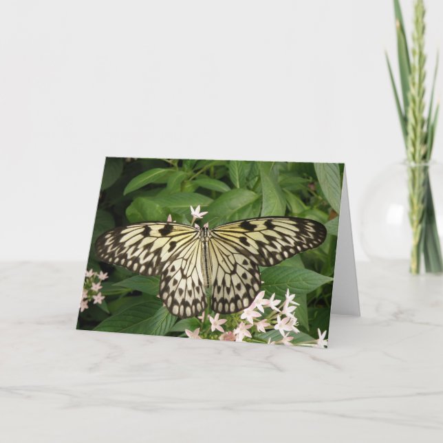 Paper Kite Butterfly Greeting Card (Front)