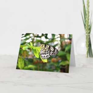 Paper kite butterfly holiday card