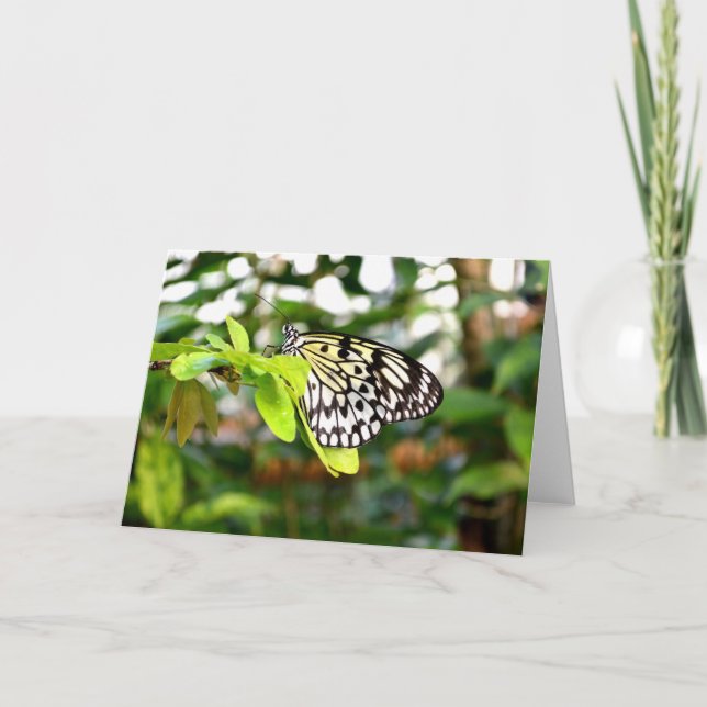 Paper kite butterfly holiday card (Front)