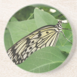 Paper Kite Butterfly Macro Coasters