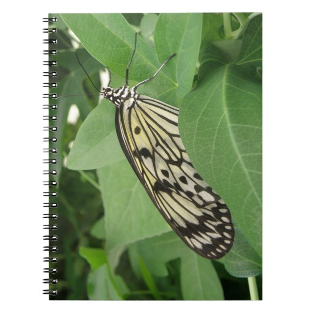 Paper Kite Butterfly Macro Notebook (Front)