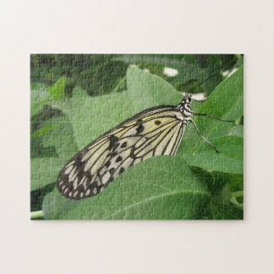 Paper Kite Butterfly Macro Puzzle