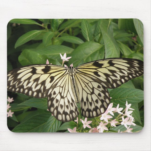 Paper Kite Butterfly Mousepad (Front)