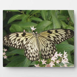Paper Kite Butterfly Plaque
