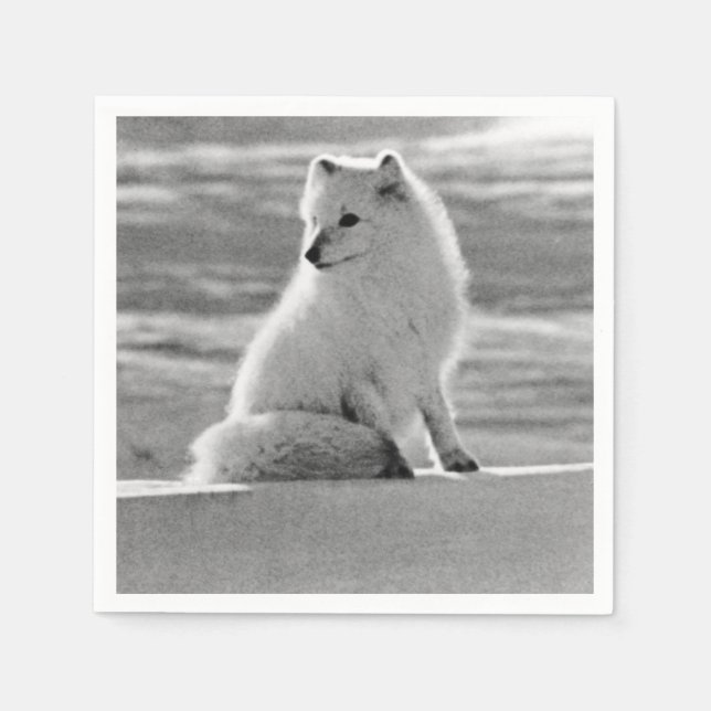 Paper Napkin (Front)