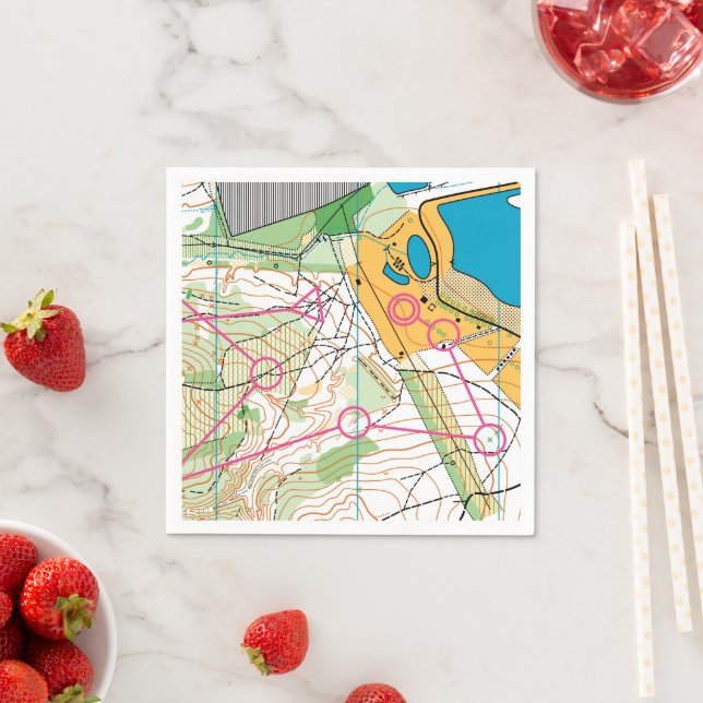 Paper Napkin - Orienteering map (Insitu)