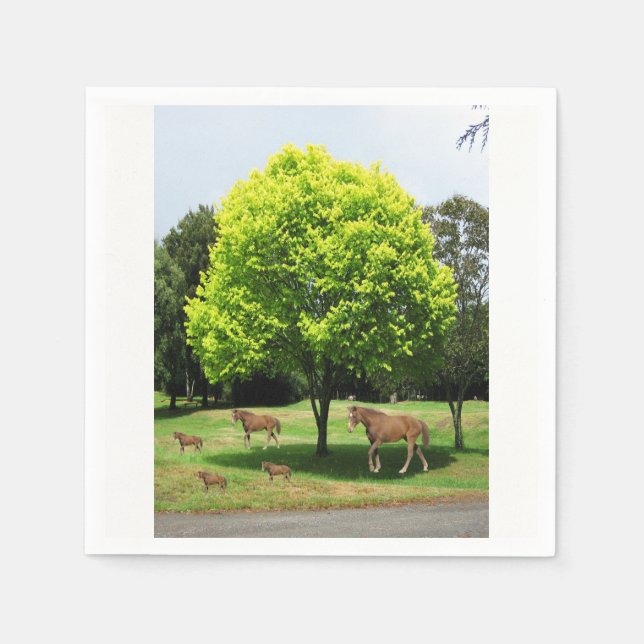 Paper Napkins (Front)