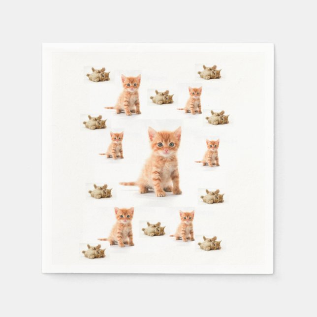 Paper Napkins Cat (Front)