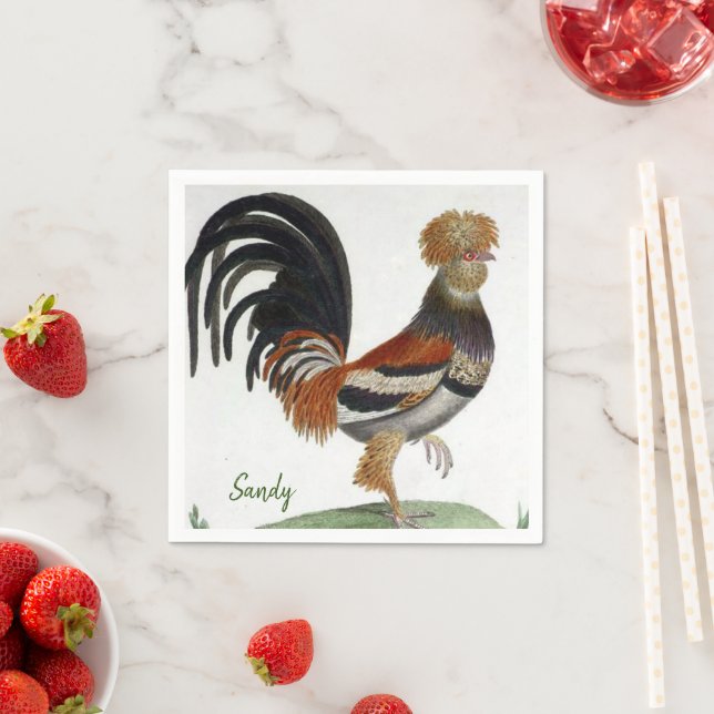 Paper Napkins, French Bird Napkin (Insitu)