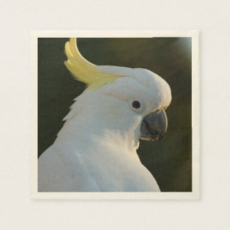 paper napkins Kakadu