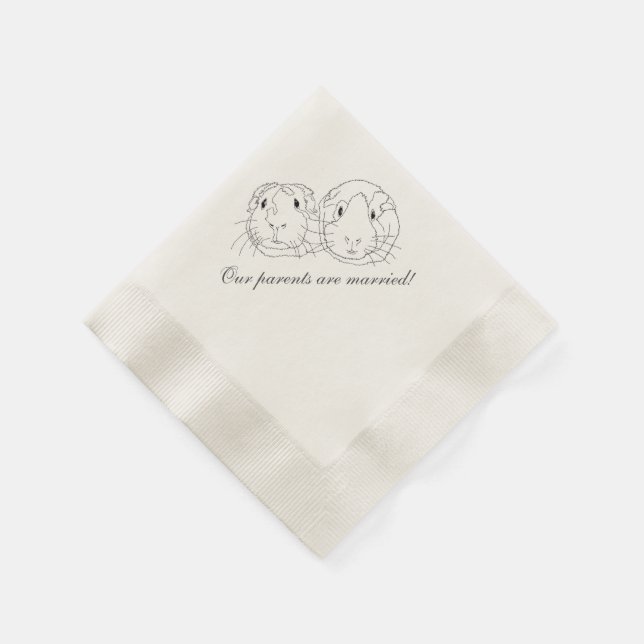 Paper Napkins, Standard Cocktail Napkin (Corner)