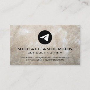 Paper Plane Logo Marketing Corporate Business Card