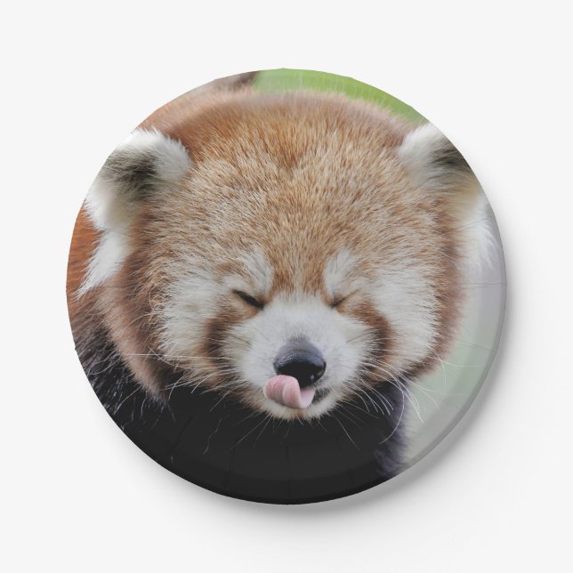 Paper plane Photo red panda 0471. Paper Plate (Front)