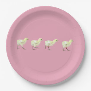 Paper Plate