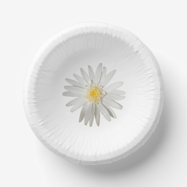 paper plate (Front)