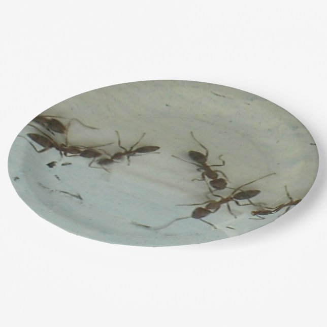 Paper Plate - Ants at Picnic (Angled)