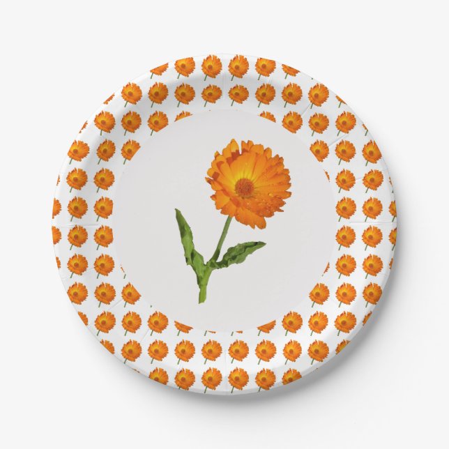 Paper Plate - Calendula (Front)
